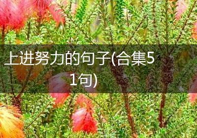 上进努力的句子(合集51句)