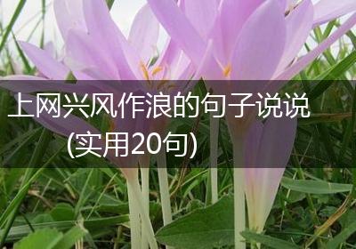 上网兴风作浪的句子说说(实用20句)
