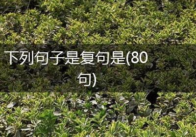 下列句子是复句是(80句)