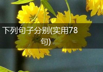 下列句子分别(实用78句)
