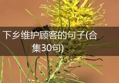 下乡维护顾客的句子(合集30句)