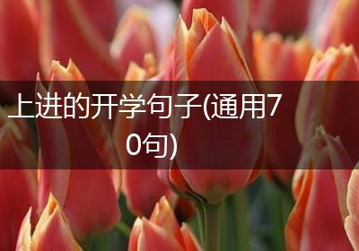 上进的开学句子(通用70句)
