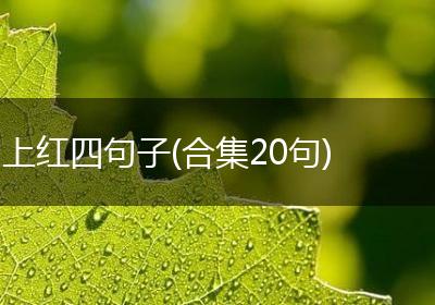 上红四句子(合集20句)