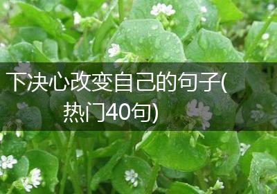 下决心改变自己的句子(热门40句)