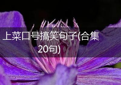 上菜口号搞笑句子(合集20句)