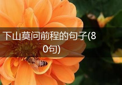 下山莫问前程的句子(80句)