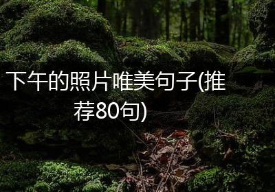 下午的照片唯美句子(推荐80句)