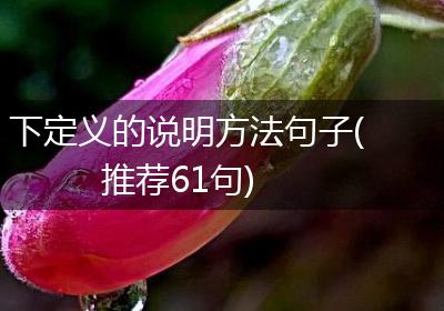 下定义的说明方法句子(推荐61句)