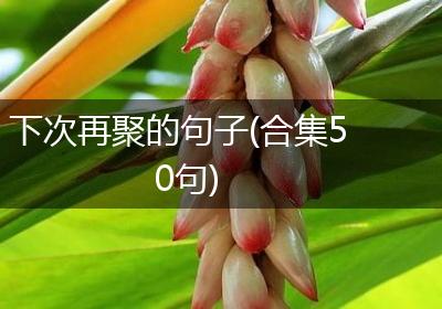下次再聚的句子(合集50句)