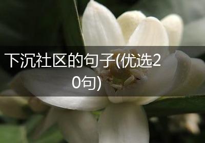 下沉社区的句子(优选20句)