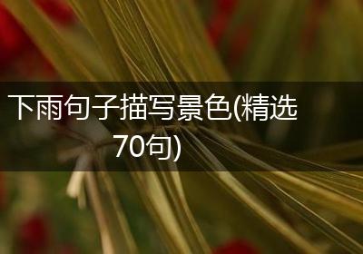 下雨句子描写景色(精选70句)