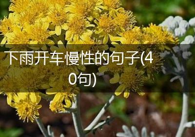 下雨开车慢性的句子(40句)