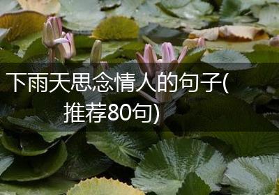 下雨天思念情人的句子(推荐80句)