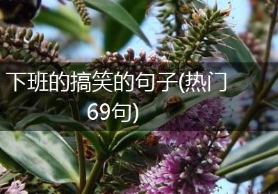 下班的搞笑的句子(热门69句)
