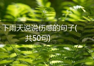 下雨天说说伤感的句子(共50句)