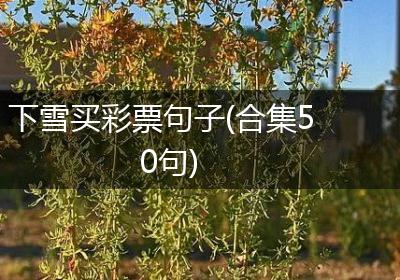 下雪买彩票句子(合集50句)