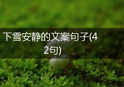 下雪安静的文案句子(42句)