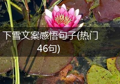 下雪文案感悟句子(热门46句)