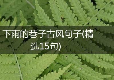 下雨的巷子古风句子(精选15句)