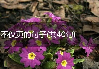 不仅更的句子(共40句)