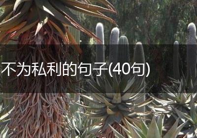 不为私利的句子(40句)