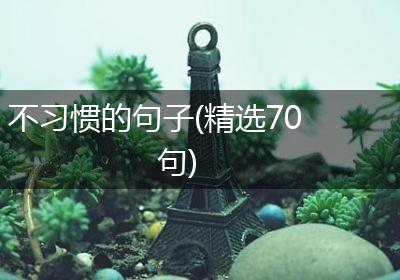 不习惯的句子(精选70句)