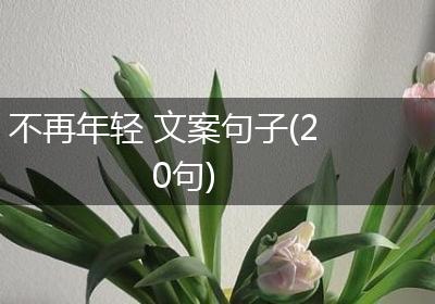 不再年轻 文案句子(20句)