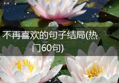 不再喜欢的句子结局(热门60句)