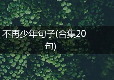 不再少年句子(合集20句)
