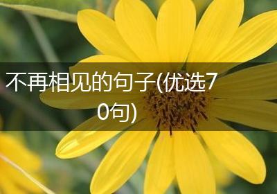 不再相见的句子(优选70句)