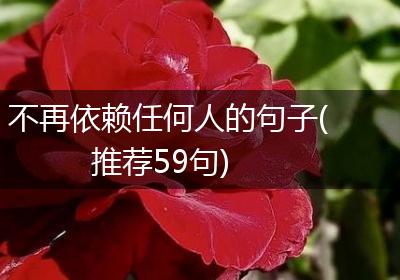 不再依赖任何人的句子(推荐59句)