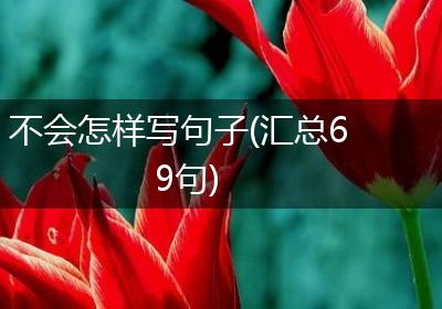不会怎样写句子(汇总69句)