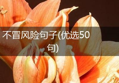 不冒风险句子(优选50句)