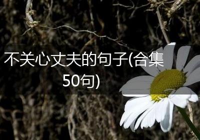 不关心丈夫的句子(合集50句)