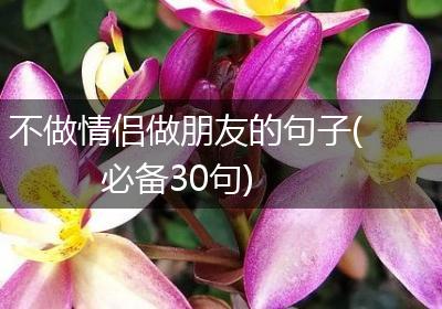 不做情侣做朋友的句子(必备30句)