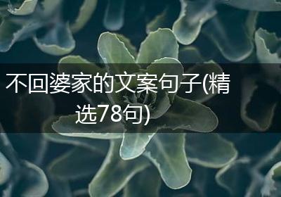 不回婆家的文案句子(精选78句)