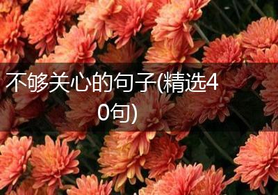 不够关心的句子(精选40句)