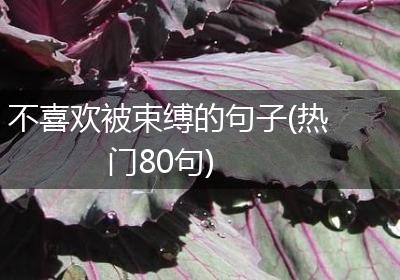 不喜欢被束缚的句子(热门80句)