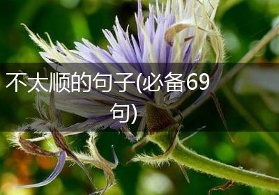 不太顺的句子(必备69句)