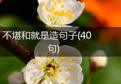 不堪和就是造句子(40句)