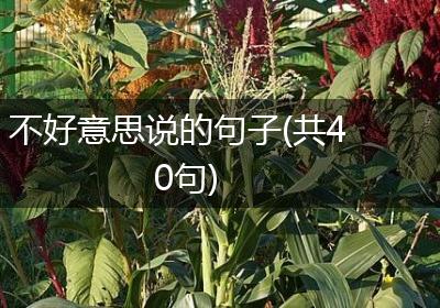 不好意思说的句子(共40句)