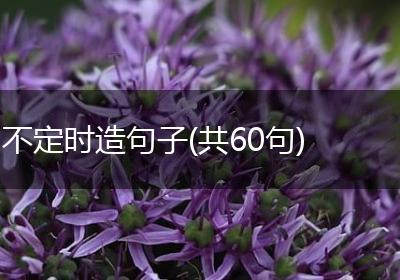 不定时造句子(共60句)