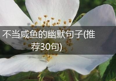 不当咸鱼的幽默句子(推荐30句)
