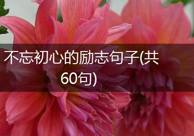 不忘初心的励志句子(共60句)