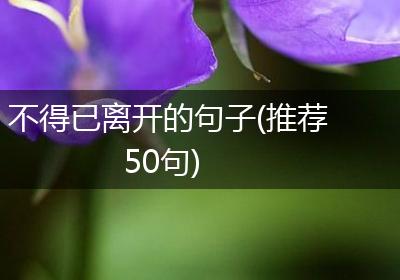 不得已离开的句子(推荐50句)