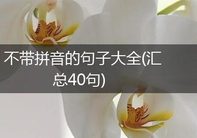 不带拼音的句子大全(汇总40句)