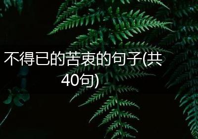 不得已的苦衷的句子(共40句)