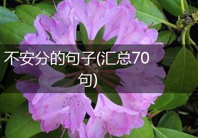 不安分的句子(汇总70句)