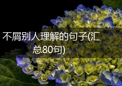 不屑别人理解的句子(汇总80句)