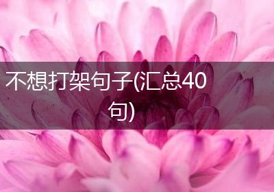 不想打架句子(汇总40句)